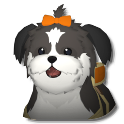 灰色西施犬