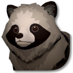 灰色浣熊
