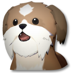 棕色西施犬