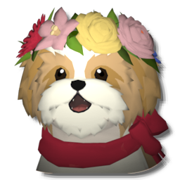 淺棕色西施犬